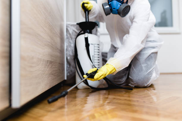 Pest Control for Restaurants in East Hemet, CA