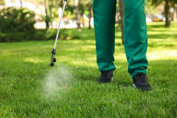 Best Cockroach Control Services  in East Hemet, CA