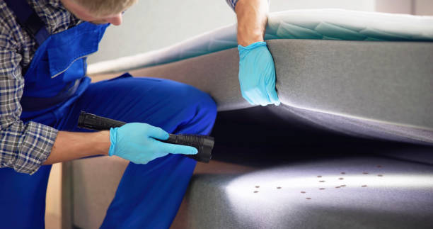 Best Termite Control Services  in East Hemet, CA
